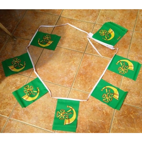 6m 20 flag Huntingdonshire bunting