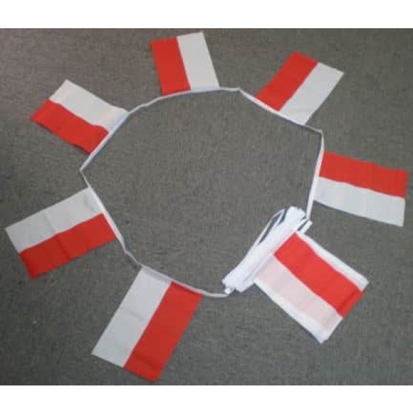6m 20 flag Indonesia bunting