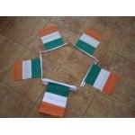 6m 20 flag Ireland Tri-colour Bunting