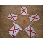 6m 20 Flag Jersey with crest Bunting
