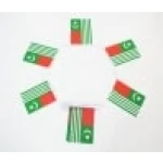 6m 20 flag Kashmir bunting