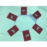 6m 20 flag Kent bunting