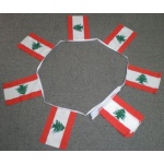 6m 20 flag Lebanon bunting
