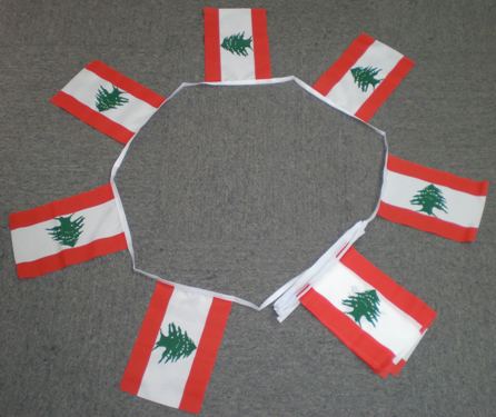 6m-20-flag-leban-4ea96755d7b39 6m 20 flag Lebanon bunting - Image 1