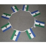 6m 20 flag Lesotho new bunting