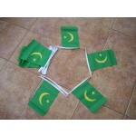 6m 20 flag Mauritania bunting
