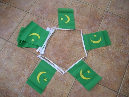 6m-20-flag-mauri-4e15af58941c8 6m 20 flag Mauritania bunting - Image 1