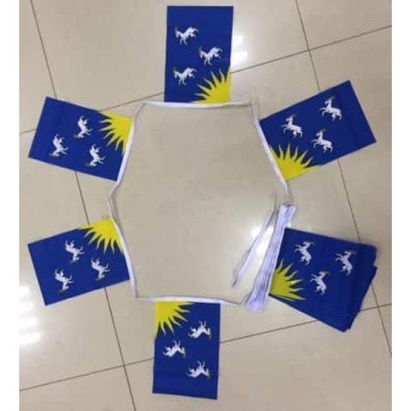 6m 20 flag Merionethshire bunting