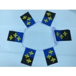 6m 20 flag Monmouthshire bunting