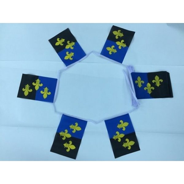 6m 20 flag Monmouthshire bunting