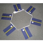 6m 20 flag Nauru bunting