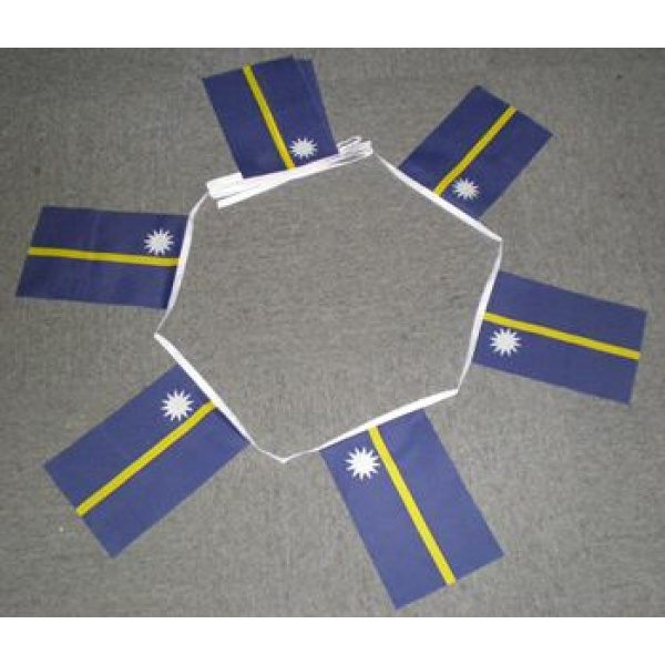 6m 20 flag Nauru bunting