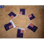 6m 20 Flag New Zealand Bunting