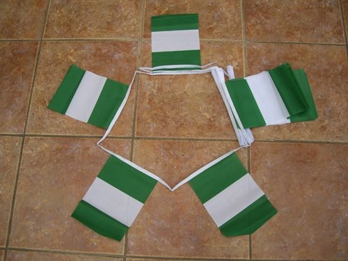 6m-20-flag-niger-4e16cc833e789 6m 20 flag Nigeria bunting - Image 1