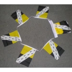 6m 20 flag Norfolk bunting