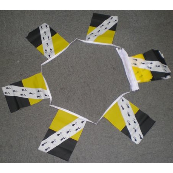 6m 20 flag Norfolk bunting