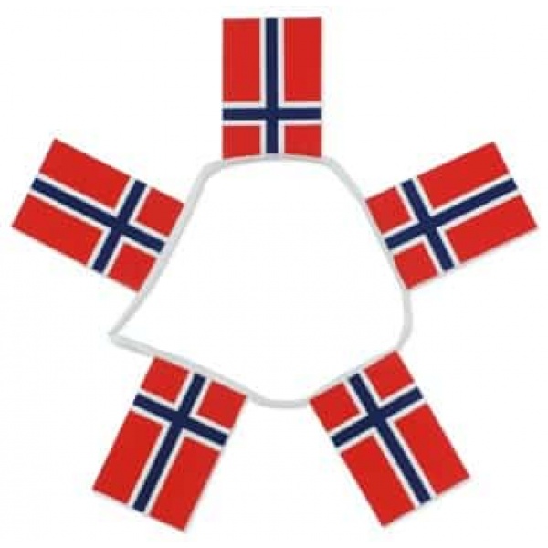6m 20 flag Norway bunting