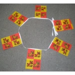 6m 20 flag Owain Glyndwr bunting