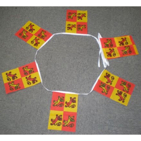 6m 20 flag Owain Glyndwr bunting