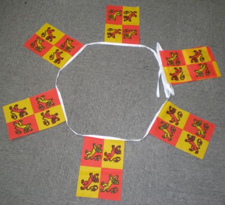 6m-20-flag-owain-4ebbb44e48892 6m 20 flag Owain Glyndwr bunting - Image 1