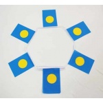 6m 20 flag Palau bunting