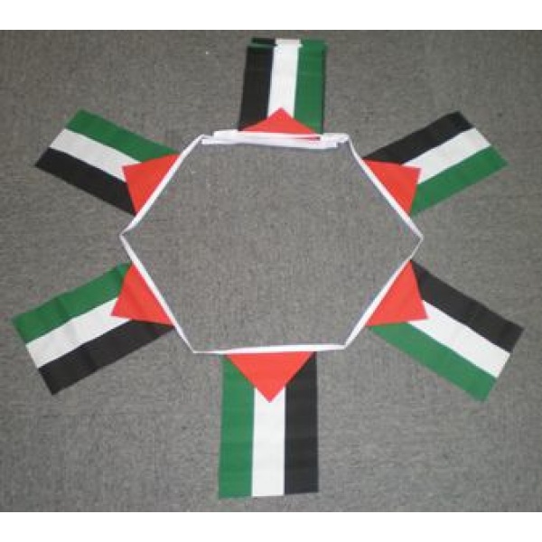 6m 20 flag Palestine bunting