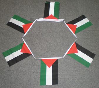 6m-20-flag-pales-4fa261cfd08c4 6m 20 flag Palestine bunting - Image 1