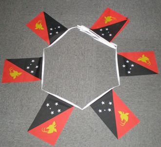 6m-20-flag-papua-5034b789dd08b 6m 20 flag Papua New Guinea bunting - Image 1