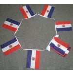 6m 20 flag Paraguay bunting