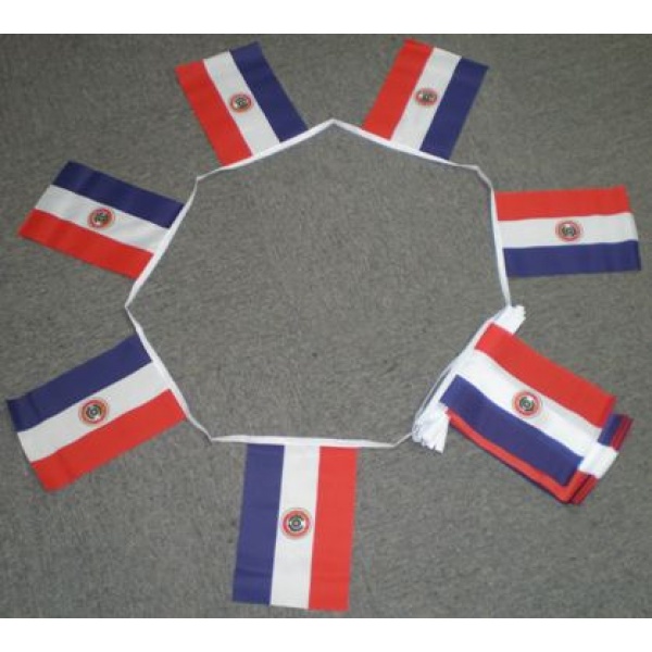 6m 20 flag Paraguay bunting