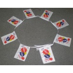 6m 20 flag Party Time bunting