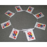 6m 20 flag Party Time bunting