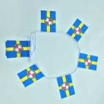 6m 20 flag Pembrokeshire bunting