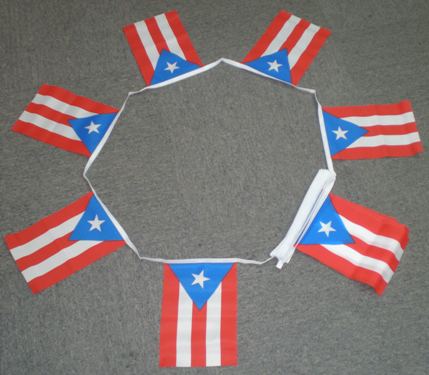 6m-20-flag-puert-4ea96fd5e2520 6m 20 flag Puerto Rico bunting - Image 1