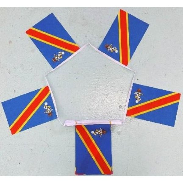 6m-20-flag-royal-electrical