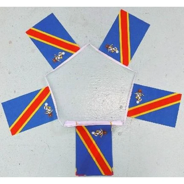 6m-20-flag-royal-electrical