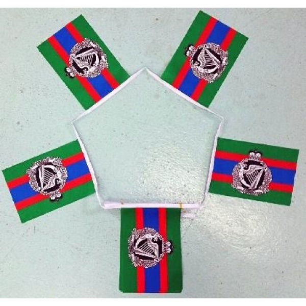 6m-20-flag-royal-irish