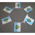 6m 20 flag San Marino bunting