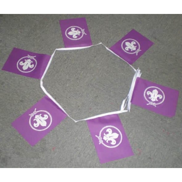 6m 20 flag Scout Purple bunting