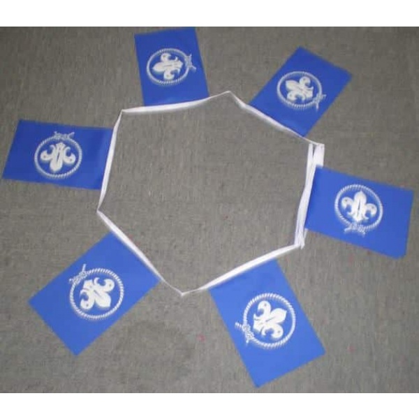 6m 20 flag Scout Blue bunting