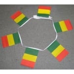6m 20 flag Senegal bunting