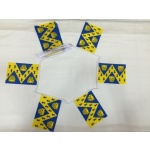 6m 20 flag Shropshire bunting