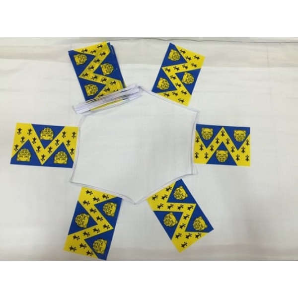 6m 20 flag Shropshire bunting