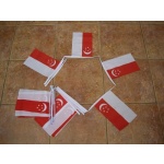 6m 20 flag Singapore bunting