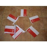 6m 20 flag Singapore bunting