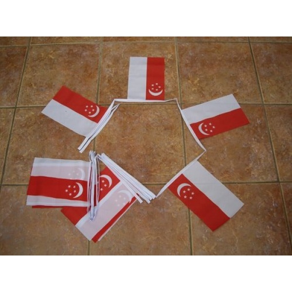 6m 20 flag Singapore bunting