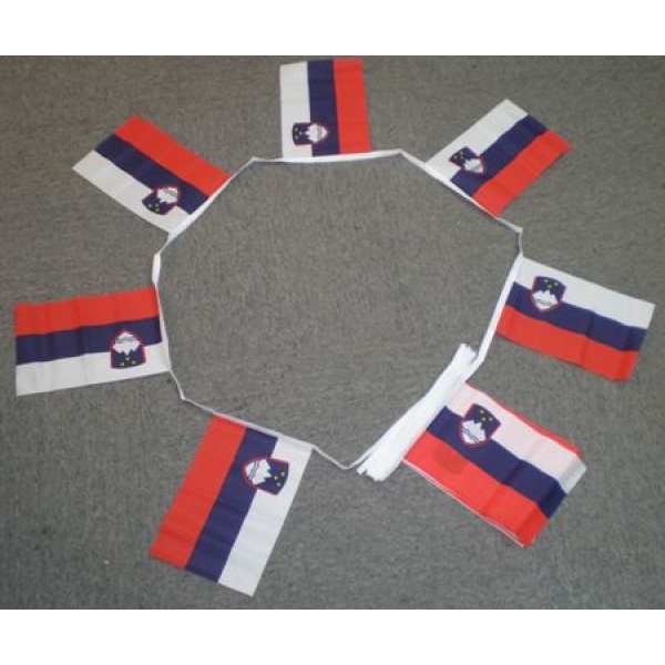 6m 20 flag Slovenia bunting