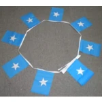 6m 20 flag Somalia bunting