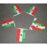 6m 20 flag Somaliland bunting