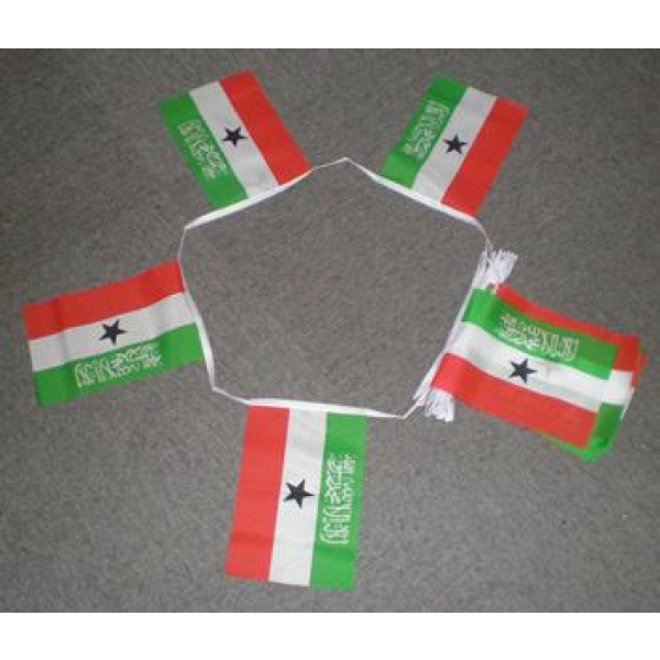 6m 20 flag Somaliland bunting